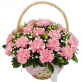 高州鲜花速递